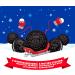 OREO Winter Chocolate Sandwich Cookies Holiday Cookies Limited Edition 530 g - Buy Online on GoSupps.com