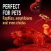 2-Pack 75W Infrared Heat Lamp Bulb for Reptiles - Red Heat Lamp for Enclosures - Keep Your Pets Warm - Buy Online on GoSupps.com