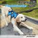 Rabbitgoo Breaking-Proof Dog Harness for Medium Dogs - Breathable Adjustable Padded Vest with Handle Anti-Train Safety Blue - 1 Pack - Buy Online on GoSupps.com