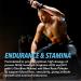 L-Arginine & L-Citrulline Supplement | Stamina Endurance Workout & Performance Support for Men | 295 mg L Arginine + L Citrulline 130 mg | 120 Nitric Oxide Pills | Vegan Third-Party Tested 120 count (Pack of 1) - Buy Online on GoSupps.com