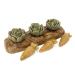 Boredom Breaker Veggie Burst Salad Patch Rabbit Treats & Small Animal Treats 200g - Buy Online on GoSupps.com