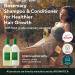 AROMATICA Rosemary Scalp Scaling Shampoo & Conditioner Gift Set - 400ml | Vegan Hair Care with Rosemary Oil for Dry, Itchy Scalp - Buy Online on GoSupps.com