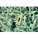 Koa Tinted Mineral Sunscreen - Hawaiian Traditional Ingredients - Non-Whitening Sun Protection - Hydrating Lightweight Formula - 1.7 oz - Buy Online on GoSupps.com