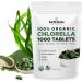 Organic Chlorella Tablets 1,000 Count | High Potency Superfood | Chlorophyll Pills from 100% Pure Green Algae | Broken Cell Wall for Max Absorption | Vegan, Kosher, Non-GMO | 4 Tabs per Day (1-Pack) - Buy Online on GoSupps.com