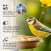 Fleim ller Wild Bird Feed 5kg | High-Quality Grain Mixture Dust-Free & Additive-Free for Year-Round Feeding - Buy Online on GoSupps.com