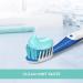 Crest Pro-Health Smooth Formula Clean Mint Toothpaste 4.6 oz - Buy Online on GoSupps.com