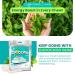 ChooChoo Gum Energy Vitamin Gum Natural Peppermint for Fresh Breath  - Natural Peppermint - 60 piece - Buy Online on GoSupps.com