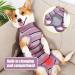 Jodsen Recovery Suit for Dog Dog Surgery Recovery Suit Purple Stripes Dog Surgical Onesie Suit Cone E-collar Alternative Dog Pajamas Ealstic Pet Anti-licking Surgery Suit for Medium Large Puppy (L) - Buy Online on GoSupps.com