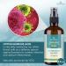 NOVEHA Eyelid and Lash Gel Cleanser | Made in USA | Relief from Irritation, Dry Eyes, Styes & Blepharitis | Hypochlorous Acid 0.02% | 120ml - Buy Online on GoSupps.com