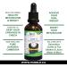 Lose It Ultimate Extract (Garcinia Cambogia Extract) 50ml. Get thin by by eating less naturally. Gluten-free alcohol-free GMO-free soy-free. Great tasting concentrate. - Buy Online on GoSupps.com