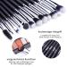 MSQ 12PCS Eye Makeup Brush Set - Professional Eyeshadow & Concealer Brushes for Flawless Makeup Application - Black - Buy Online on GoSupps.com