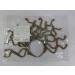 Faxianther Gold Snake Headband Halloween Costume Cosplay Headpiece Hair Hoop Scary Day Of The Dead Fancy Dress Party Masquerade Ball Snake Crowns Tiaras Hair Band - Buy Online on GoSupps.com