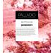 Palladio Matte Blush - Smooth and Even Finish for Effortless Makeup Blending - Peach Ice - Buy Online on GoSupps.com