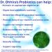 Essential Formulas Dr. Ohhira s Probiotics Original Formula with 3 Year Fermented Prebiotics, Live Active Probiotics and The only Product with Postbiotic Metabolites, 100 Capsules 100 Count (Pack of 1) - Buy Online on GoSupps.com