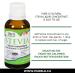 Stevia Concentrated Liquid 30ml. Concentrated calorie-free vegan sweetness - Made in Canada - Buy Online on GoSupps.com