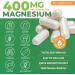 ForestLeaf Riboflavin & Magnesium Migraine Supplement - Riboflavin 400mg for Headache Relief - Ultimate Magnesium Glycinate Bundle with B2 Vitamin 400mg for Headache Migraine Relief Capsules - Buy Online on GoSupps.com