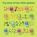 Amazing Grass Greens Blend Superfood for Immune Support: Super Greens Powder Smoothie Mix with Organic Spirulina  Chlorella  Beet Root Powder  Digestive Enzymes & Probiotics  Original  30 Servings - Buy Online on GoSupps.com