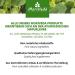 Moringa Oil Premium 100ml | Cold-Pressed Oleifera Seed Oil for Skin Hair Wounds & Anti-Aging | Moriveda - Buy Online on GoSupps.com