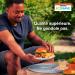 "Hefty ECOSAVE Compostable Disposable Paper Plates Dinner 10" 125 Count - Buy Online on GoSupps.com