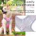 Buy Thinkpet Anti-Zug Dog Harness - Adjustable Reflective Breathable with Handle - No Choking Design for Small Dogs (Pink S) - International Shipping Available - Buy Online on GoSupps.com