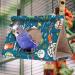 Winter Warm Bird Nest House Bed Hut Hanging Hammock Finch Cage Sleeping Tent- Medium Blue - Buy Online on GoSupps.com