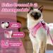 Supet Cat Dishes & Breaking-Safe Leash - Soft Vest for Kittens & Small Dogs (Chihuahua) - Pink Size L (Chest 38-43 cm) - Buy Online on GoSupps.com