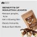 Blessfull Healing Organic 100% Pure Natural Manjistha Leaves Powder | 100 Gram / 3.52 oz Pack Of 1 - Buy Online on GoSupps.com
