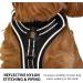 Elite Paws UK Premium Metal Buckle Dog Harness - Black Medium | Adjustable, Reflective, Padded Comfort | Front/Back Lead Attachments | Soft Handle Pet Walking Vest - Buy Online on GoSupps.com