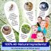 Buy KN FLAX Natural Mild Flavored Portable Mouthwash - Alcohol Free Travel Size Apple Spearmint Pack of 15 for Adults & Kids | International Shipping - Buy Online on GoSupps.com