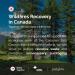 Just Glow Setria Glutathione 60 Capsules - Clinically Studied & Potency Tested by 3rd Party - Reduced Active Form - L Glutathione Supplement for Antioxidants - Made in Canada (1 Month Supply) - Buy Online on GoSupps.com
