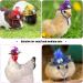 Funny Chicken Accessories: 6-Piece Feather Hat Costume for Small Pets - Adjustable Elastic Chin Strap for Chickens Ducks Parrots & Poultry - Buy Online on GoSupps.com