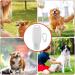 Dog Food Tube Food Tube For Dog 90 Ml Silicone Travel Bottle For Toiletries Leak Proof Refillable Squeezable Containers Dogs Refillable Tubes With Carabiner Water Hose For Pets Transparent - Buy Online on GoSupps.com