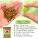 Premium 1kg Dried Mealworms - High Protein Flourworms for Reptiles Birds Fish & More | International Shipping Available - Buy Online on GoSupps.com
