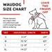 Buy Waudog Nylon Dog Collar - Adjustable Pink Watermelon Design for Big Medium & Small Dogs (31-49 cm) - Buy Online on GoSupps.com