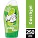  Duschdas Duschdas Fresh and Sparkling Shower Gel for Women with a Fresh Natural Scent Dermatologically Tested (6 x 250ml) Mint Fresh - Buy Online on GoSupps.com