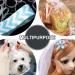 Qufiiry 1100 Mini Elastic Hair Ties - Transparent Rubber Bands for Women & Girls - Perfect for Daily Hairstyles - Buy Online on GoSupps.com