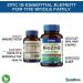 BioZnQ Zinc Quercetin 60 Capsules | Vegan-Friendly Immune Support - Buy Online on GoSupps.com
