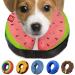Ducomi inflatable hinges of the dog and cat - for operations relaxation of the animal - freedom in the event of movements and visibility - prevents scratches and bites (watermelon s) s watermelon