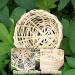 Obelunrp Bird Nest for Wildbird 6pcs 3.9inch Bamboo Woven Nesting Boxes for Wild Birds Hatching Breeding Cave for Parrot Canary or Cockatiel - Buy Online on GoSupps.com