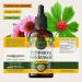 HERBAMAMA Echinacea Goldenseal Tincture - Vegan Immune & Respiratory Support with Echinacea and Goldenseal Root Extract - Non-GMO, Alcohol & Sugar-Free Supplement, 56-Day Supply 4 Fl Oz (Pack of 1) - Buy Online on GoSupps.com