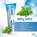 Dr. White's Bright Whites Anticavity Fluoride Toothpaste with Xylitol and Silica Dentist Recommended for Adults & Kids' Oral Care - Whitening Antiplaque SLS Free Enamel Protection (Minty Fresh) - Buy Online on GoSupps.com