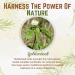Buy Go Nutra Goldenseal Root Extract - Potent 10:1 Goldenseal Powder 4oz | Pure Herbal Supplement for Immune Support & Wellness - Buy Online on GoSupps.com