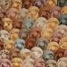 FRIGG Daisy Natural Rubber Baby Pacifier 2-Pack - Rose Gold/Honey Gold | BPA-Free | Made in Denmark | 0-6 Months - Buy Online on GoSupps.com