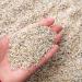 Natural Colour Silica Sand - COARSE Grain 1mm-2mm | Ideal for Aquariums Arts and Crafts and Gardening Soil (2KG)