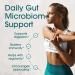 Probiotics for Men & Women | Vegan Gut Health Support | Natural Lactase & Prebiotic Fiber | 180 Tablets - Buy Online on GoSupps.com