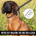 Figure of 8 Dog Lead 1PCS Anti Pull dog Lead with Padded Loop Handle and Nose Pad Reflective Figure of 8 Lead for Training Suitable for Small Medium and Large Dogs Anti-Pull Stops Dogs from Pulling - Buy Online on GoSupps.com