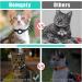 Reflective Airtag Cat Collar with Bell | Waterproof Holder | Apple Airtag Compatible - Black - Buy Online on GoSupps.com