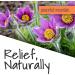 Buy Peaceful Mountain Muscle Rescue Gel - Homeopathic Pain Relief with Arnica & Comfrey - 2oz | Fast International Shipping - Buy Online on GoSupps.com