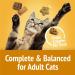 Friskies Party Mix Cat Treats Cheezy Craze Crunch with Real Cheese - 170 g Pouch (1 Pack) 170 g (Pack of 1) - Buy Online on GoSupps.com