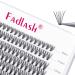 Individual Lashes Fadlash Cluster Eyelashes Extension 20 Root 0.10mm D Curl 8-15mm Mixed Length Eyelashes Individual Cluster Lashes Self-Application DIY Lashes Extensions 8-15mm 20D-0.10-D
